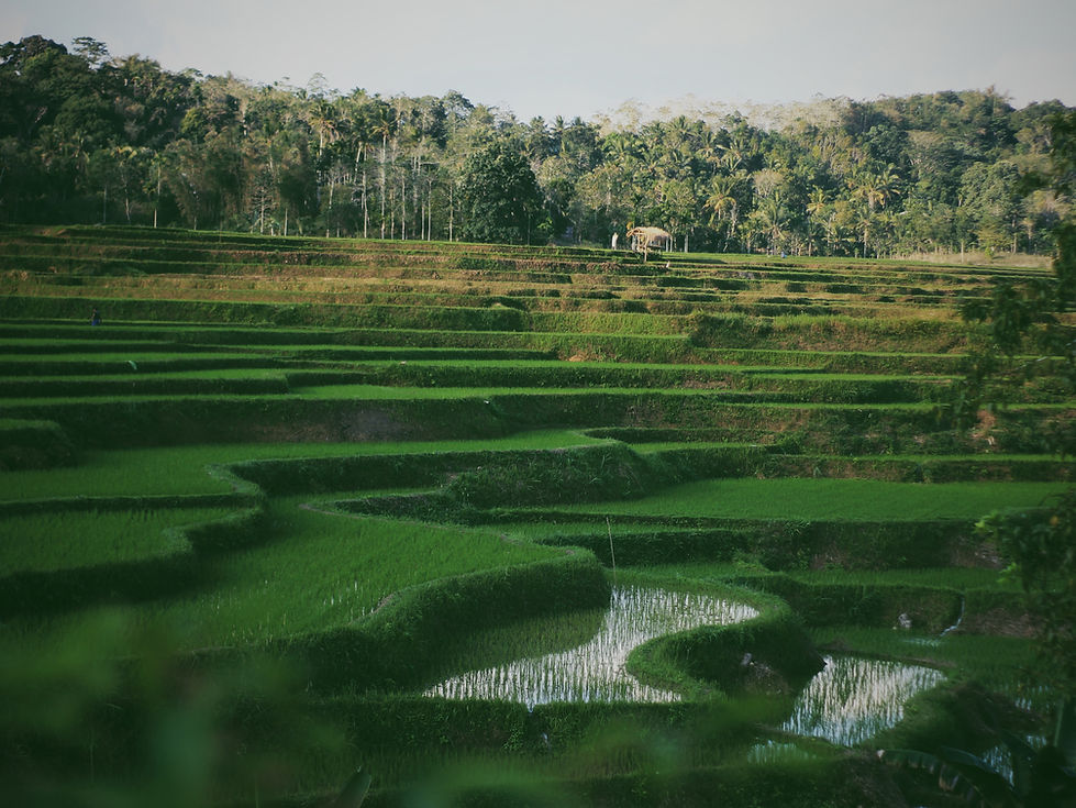 Image by Umbu Tokung