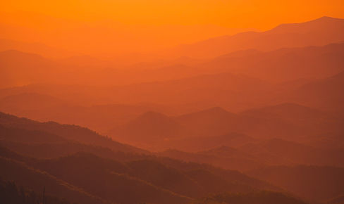 Image by McKenna Estes