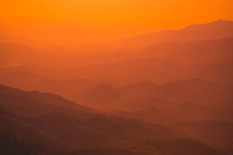 Image by McKenna Estes