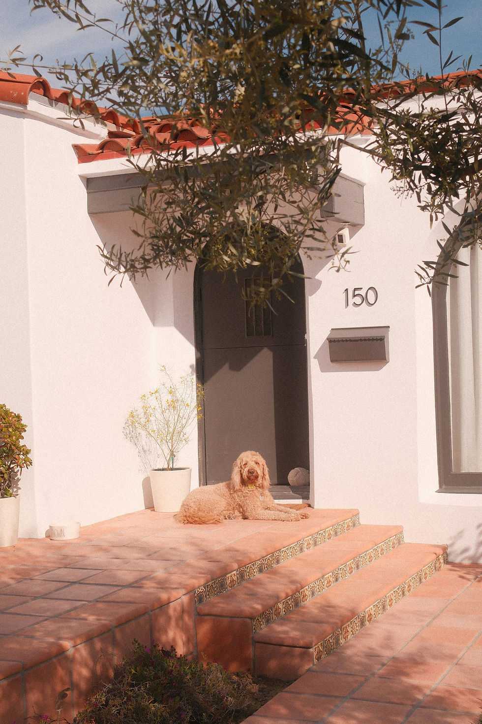 Curb Appeal in the Desert: Getting Your Las Cruces Home Ready to List