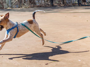 Reigniting Your Passion with Authenticity