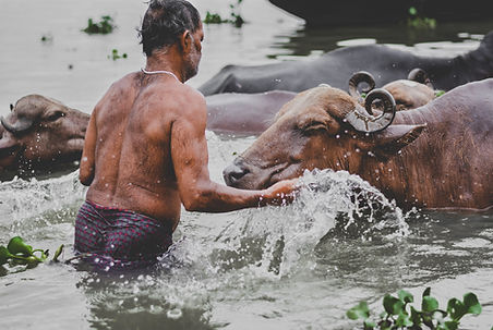 Image by Jyotirmoy Gupta