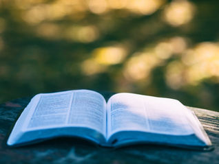 « J’ai été frappé par la Bible »