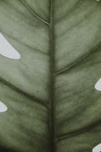 Image de Annie Spratt