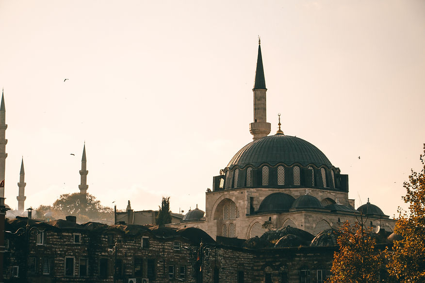 Image by Soroush Karimi