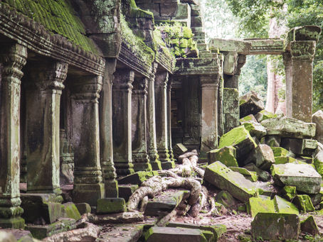 On the Contemplative Journey IV...