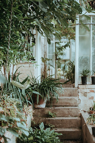 Image by Annie Spratt
