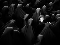 Image by Mehdi Sepehri