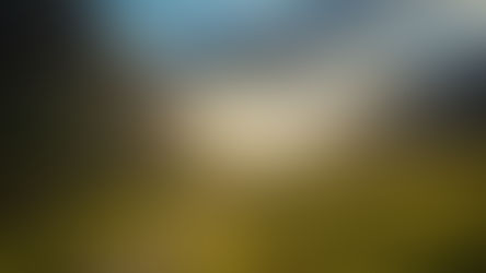 Ray's Journey (Glasgow University)