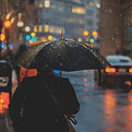 Image by Osman Rana