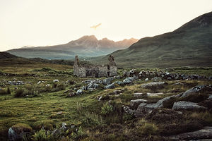 Image by Tom Robertson