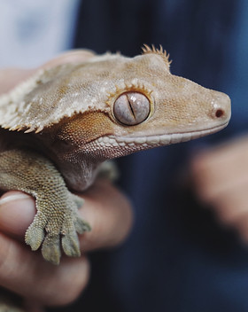 Image by Yeh Xintong