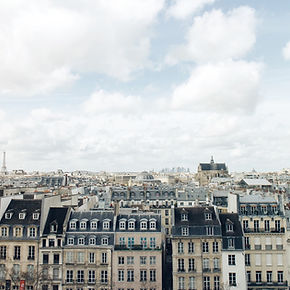 1 : Qu’est-ce qu’un dol en matière de vente immobilière ?