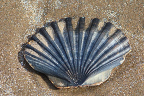 Image by Paul Levesley