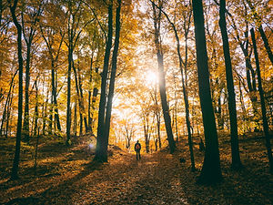 Image by Aaron Burden
