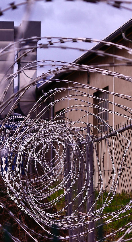 Image by Hédi Benyounes