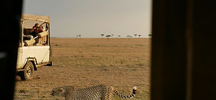 Cheetah seen through safari jeep window in Serengeti National Park