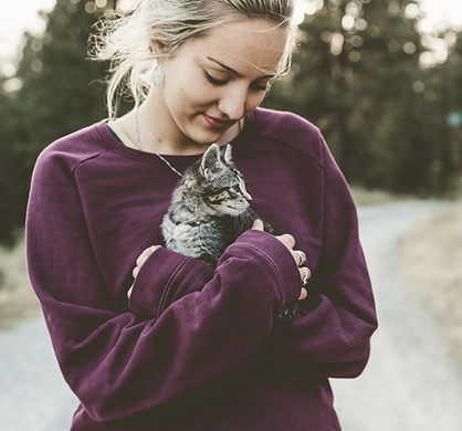Image by Japheth Mast