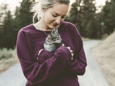 Rachel's Cat Photography Session | Leddy Beach in Burlington, Vermont