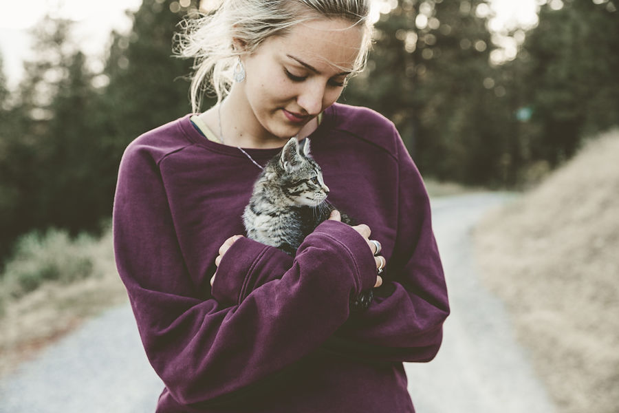 CATSINESS Kontakt