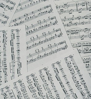 Image by Stefany Andrade