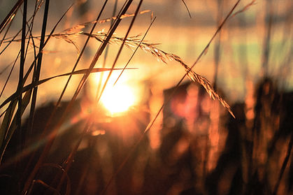 Image by Rose Erkul
