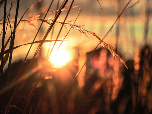 From Therapy to Fulfillment Coaching