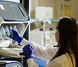 Image by National Cancer Institute