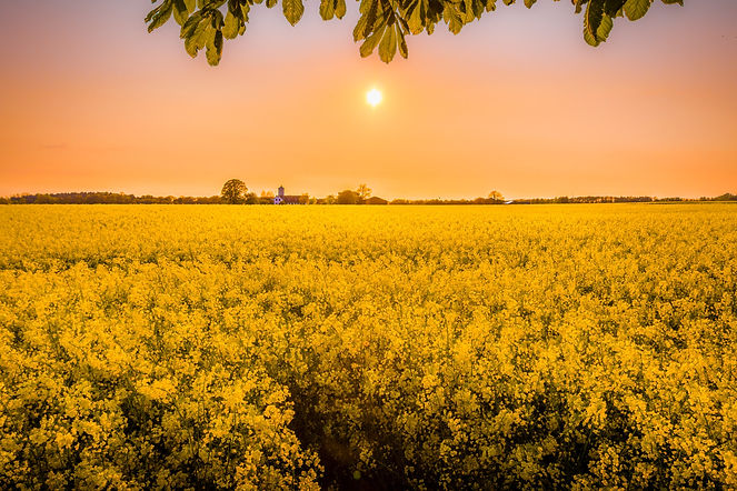 Image de Mantas Hesthaven