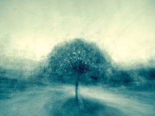 What Mindfulness Isn't