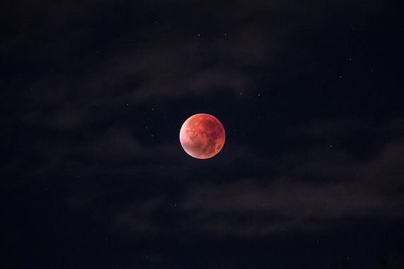 Image by Anders Jildén