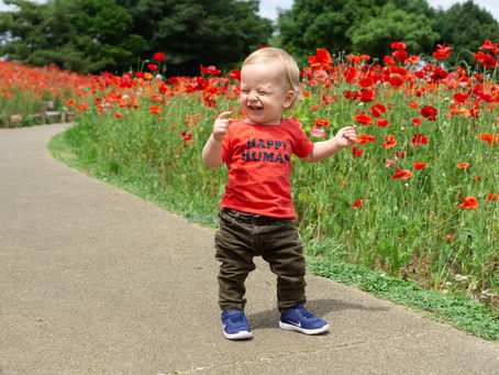 Arrow Tip #48: Take Baby Steps