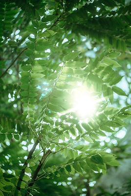 Image by Han Lahandoe