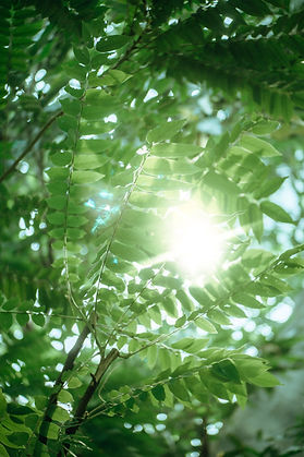 Image by Han Lahandoe