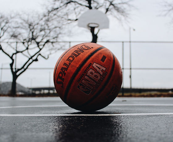 Image de TJ Dragotta
