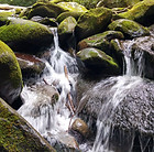 Image by Anvesh Uppunuthula