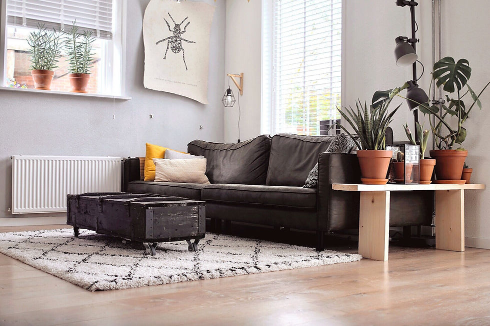 Urban Family Home