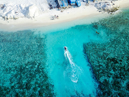 Image by Ali Arusham