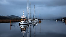 Image by Thomas Bassett