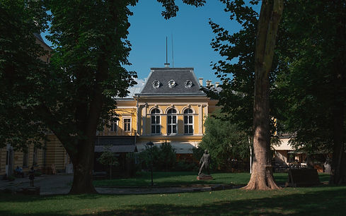 Image by Stefan Vladimirov