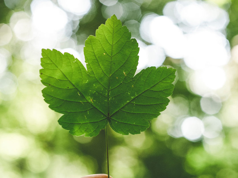 2 հունիսի, 2025 թ.