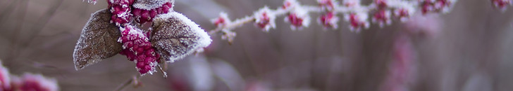 Image by freestocks