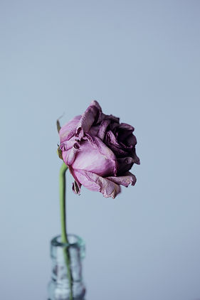 Image by Alexander Grey