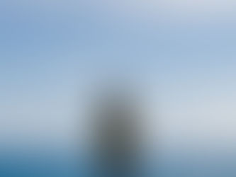 Why Are Our Eyes Drawn to the Horizon?