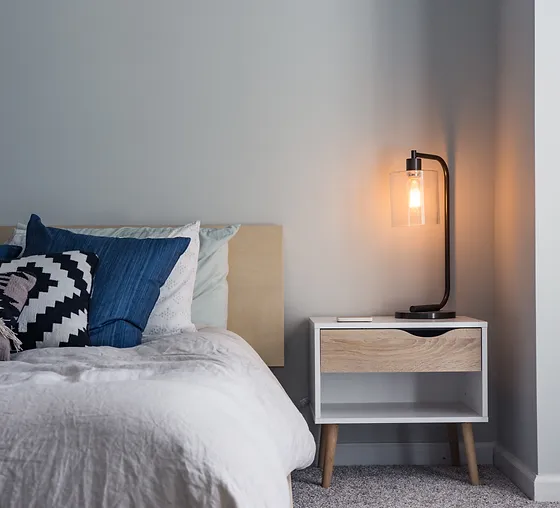Bed Bugs Ohio Best Choice Pest Control