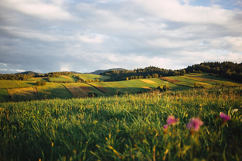 Image by freestocks