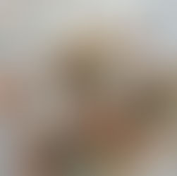 How Much Passive Income Do You Really Need for Italy’s Elective Residency Visa?