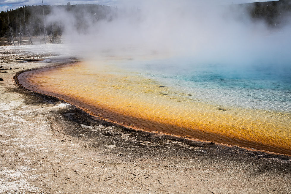 European visit yellowstone old faithful tour 