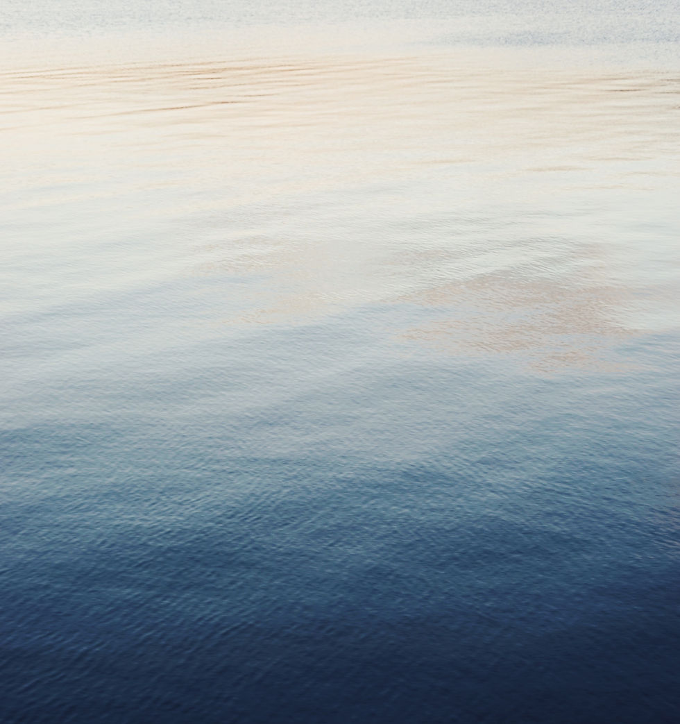 Image by Oscar Nord