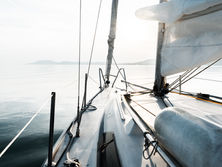 Image by Daniel Olah